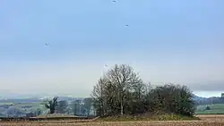 Two bowl barrows to the north of Hacking Boat House