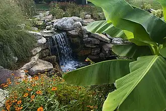 Fall foliage lines the pond.