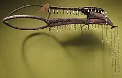 A headdress made of a hornbill's beak, shell, wire, rattan and hair