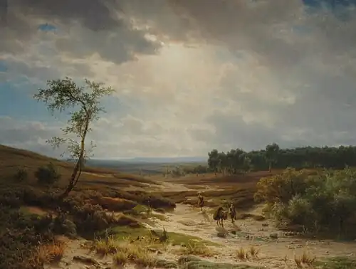 Heathland Landscape near Oosterbeek