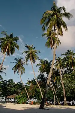 Jafana Park, a beach area in Himmafushi
