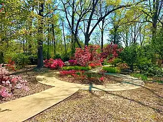 Walkway though the flora.