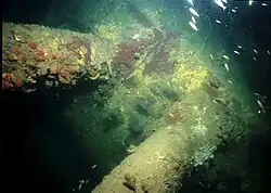 A photo taken underwater with a greenish-blue hue. In the center is a brown, rusty, two-barrel turret pointed towards the viewer at a steep angle. Other details are too dark to notice.