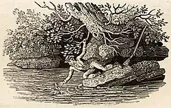 Hunter precariously retrieving duck from river