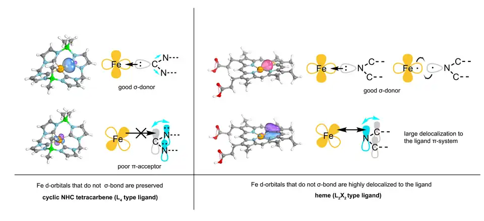 Illustration comparing the bonding observed in an example neutral iron-tetracarbene complex and heme B (iron protoporphyrin IX). Crystal structure obtained from www.rcsb.org and Intrinsic Atomic Orbital produced using Orca & IBOView.org.