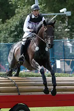 Ingrid Klimke on Butts Abraxxas in the team eventing