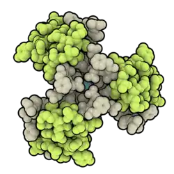 Space-filling model of an insulin degludec hexamer with lime green representing the A chain, tan representing the B chain, and teal representing the central zinc atom
