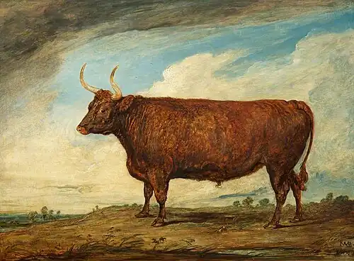 The Devonshire Ox by James Ward