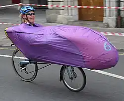 Short purple recumbent bodysock