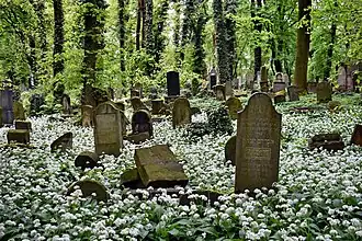 55 Miodowa Street New Jewish Cemetery