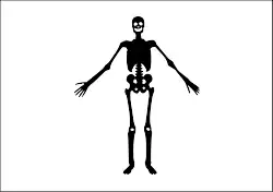 Jolly Roger flag of pirate Olivier Levasseur (La Buse), described as a "white ensign with a figure of a dead man spread in it"; one of the few mentions of a black-on-white Jolly Roger flag.[5]