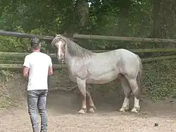 Stop and call for attention.