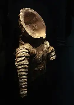 Model of a Saka cataphract armour with neck-guard, from Khalchayan. 1st century BCE. Museum of Arts of Uzbekistan, nb 40.[13]