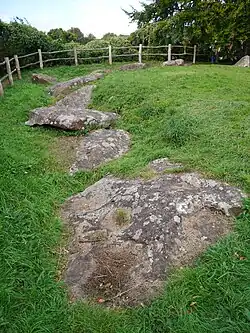 From the top to the bottom of the image, a range of large, grey and mottled stones are situated at a low level, surrounded and partially covered by soil and green grass. In the background is a dark green hedge.