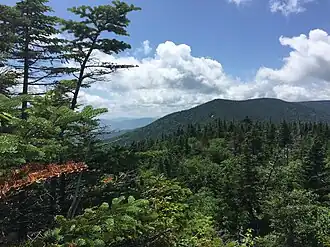 At Killington View on the Long Trail in the Breadloaf Wilderness in the Green Mountain National Forest