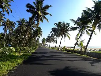 Kollam-Paravur Coastal Road at Pozhikara, Dec 2015.jpg