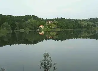 A body of water with trees in the distance.
