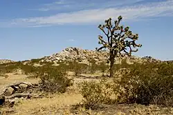An image of a semi-desert landscape