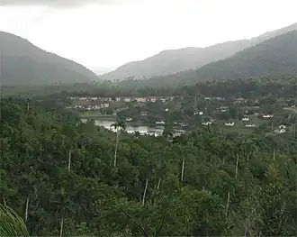 View of the village and surrounding forest