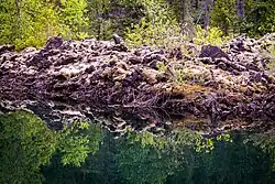 Trees and jagged moss-covered rock reflecting on water in the foreground