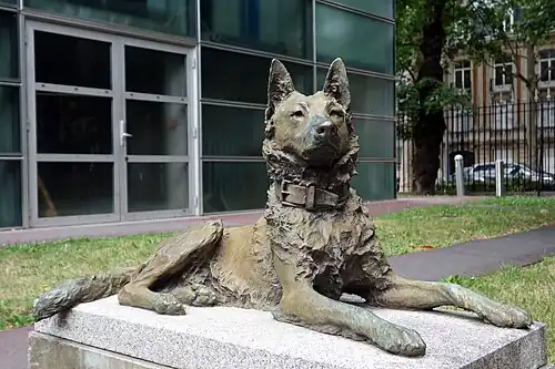 Tom, Belgian Shepherd, 1905, bronze