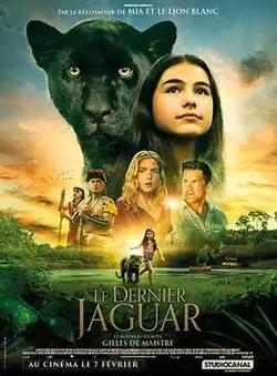 Poster for Le Dernier Jaguar featuring a young girl sitting in a lush green jungle beside a black jaguar cub. A waterfall cascades in the background, with sunlight filtering through the dense foliage. The title appears in elegant gold lettering at the bottom.