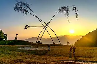 A tree swing, with the setting sun in the background