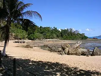 A view of a tropical beach with palm trees and stones
