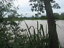 The Magdalena River at Villa Vieja