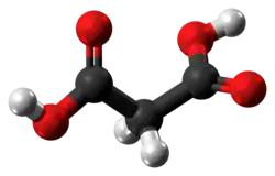 Ball-and-stick model of the malonic acid molecule