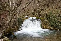 The Bigăr Waterfall