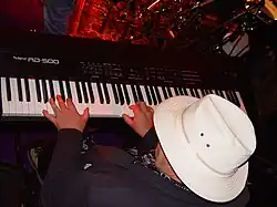 Middleton with Snowy White & The White Flames performing in Germany (1 November 2007)