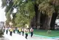 Band passing by the Santa Maria de Tule tree