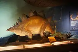 Milwaukee_Public_Museum_May_2023_14_(Third_Planet--Stegosaurus)