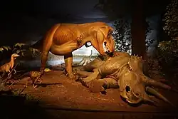 A Tyrannosaurus rex eating a Triceratops as a Dromaeosaurus and Struthiomimus watch in the Third Planet exhibit