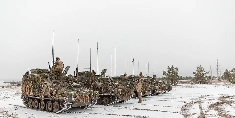 Soldiers with the Latvian Land Forces.