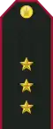 Service uniform shoulder board (Senior lieutenant)