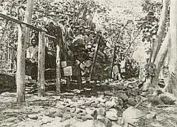 Monorail for 6 cubic metres (210&nbsp;cu&nbsp;ft) or approx 5 tonnes timber