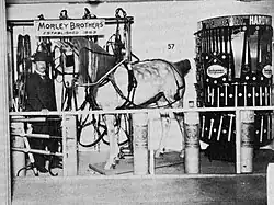 Morley Brothers window display showcasing horse and carriage supplies, 1915. From the Morley Historical Collection.