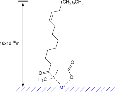 Adsorption of N-oleoylsarcosin on a metal surface
