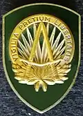 NATO SHAPE badge
