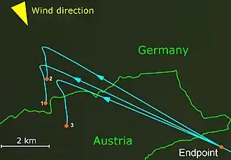 Reconstructed trajectories of individual fragments which were distorted by the wind