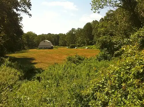 Narragansett Trail - "Shelter Cave Field" meadow with barn adjacent to "Trolley Pasture" meadow.