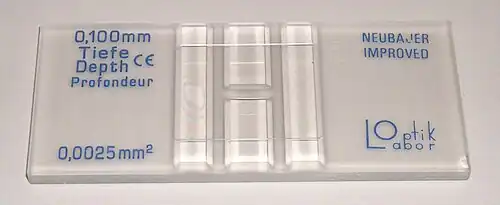 A Neubauer slide for cell counting.