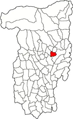 Location in Vâlcea County