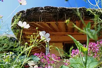 Garden under the eaves