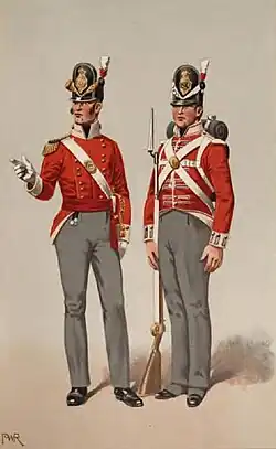 Officer and private of the 40th Regiment of Foot in 1815. (The shako was adopted as standard headwear by most line infantry regiments around 1800).