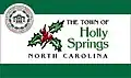 Flag of Holly Springs