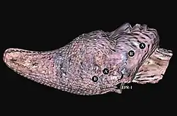 The Queen Mother Head, Benin, Nigeria, West Africa