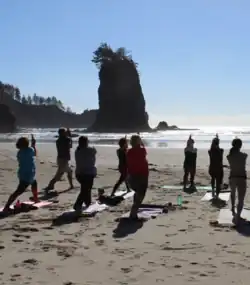 People practicing yoga on a beach